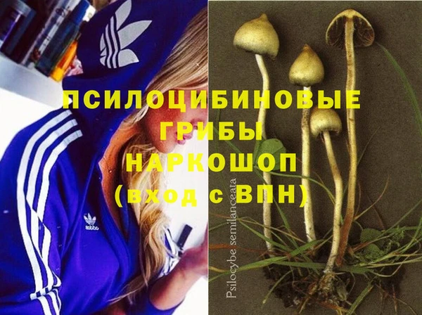 прущие крисы Алексин