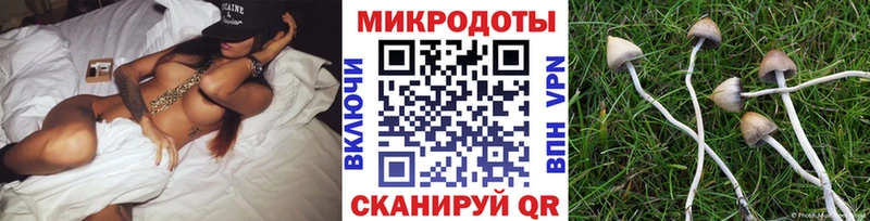 OMG ТОР  Махачкала  Галлюциногенные грибы прущие грибы  купить закладку 