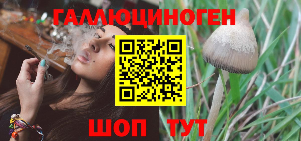 Махачкала  Псилоцибиновые грибы MAGIC MUSHROOMS  Вход с VPN 