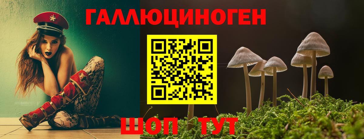 Галлюциногенные грибы Magic Shrooms Махачкала