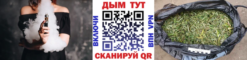купить наркотики цена  Махачкала  сайты даркнета как зайти  Бошки Шишки планчик 
